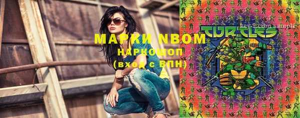 ПСИЛОЦИБИНОВЫЕ ГРИБЫ Горно-Алтайск