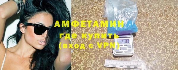 ПСИЛОЦИБИНОВЫЕ ГРИБЫ Горно-Алтайск